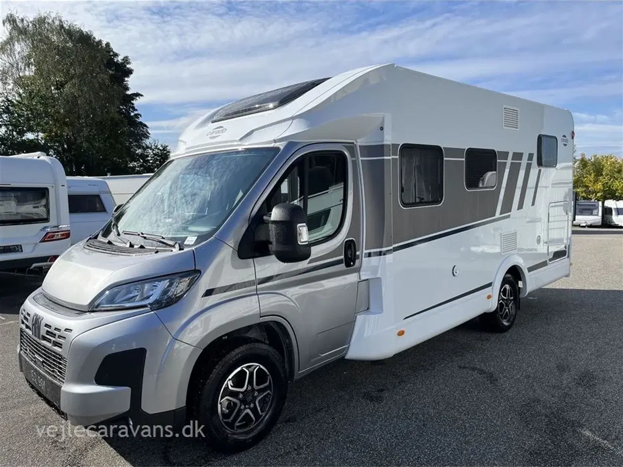 Billede 5 - 2026 - Carado