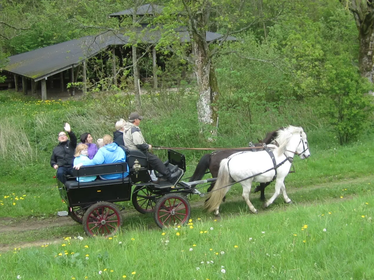Billede 3 - Velholdt wagonette hestevogn med luftgummihjul