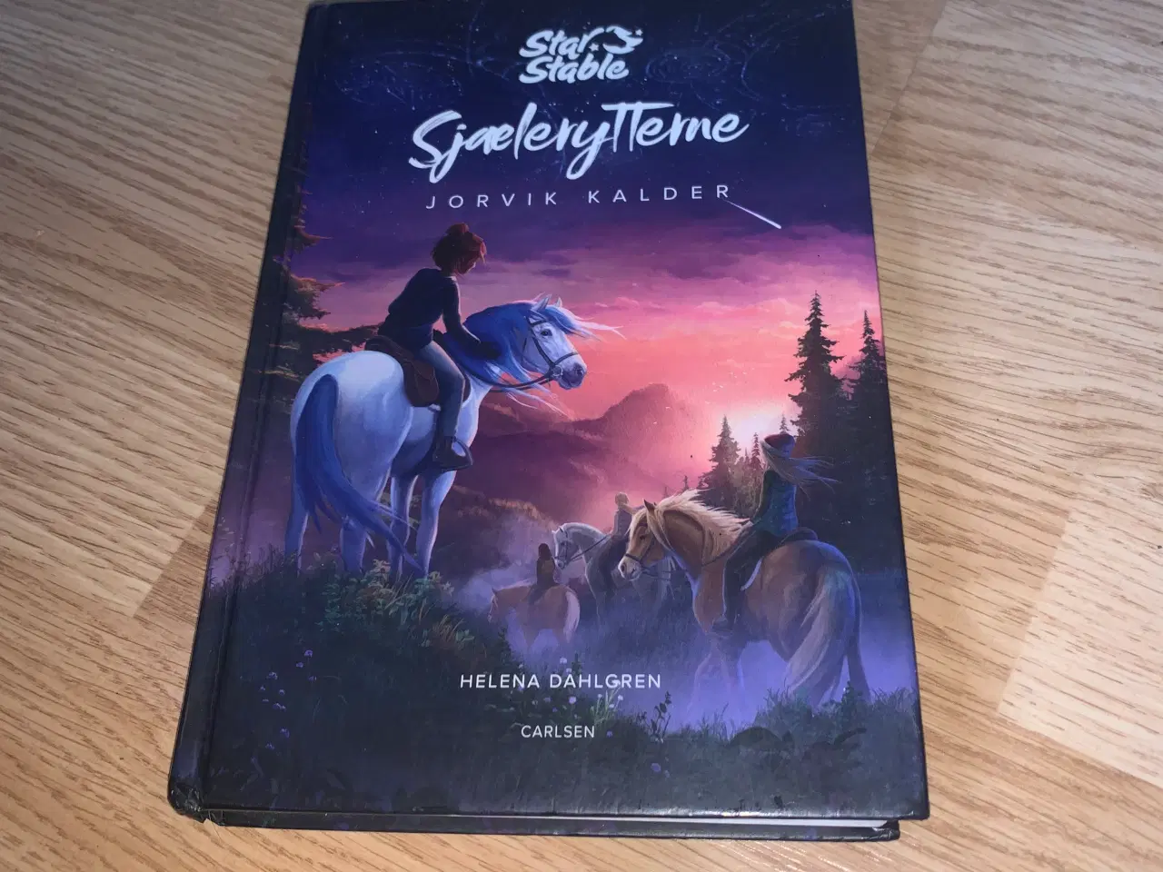 Billede 1 - Star stable bog