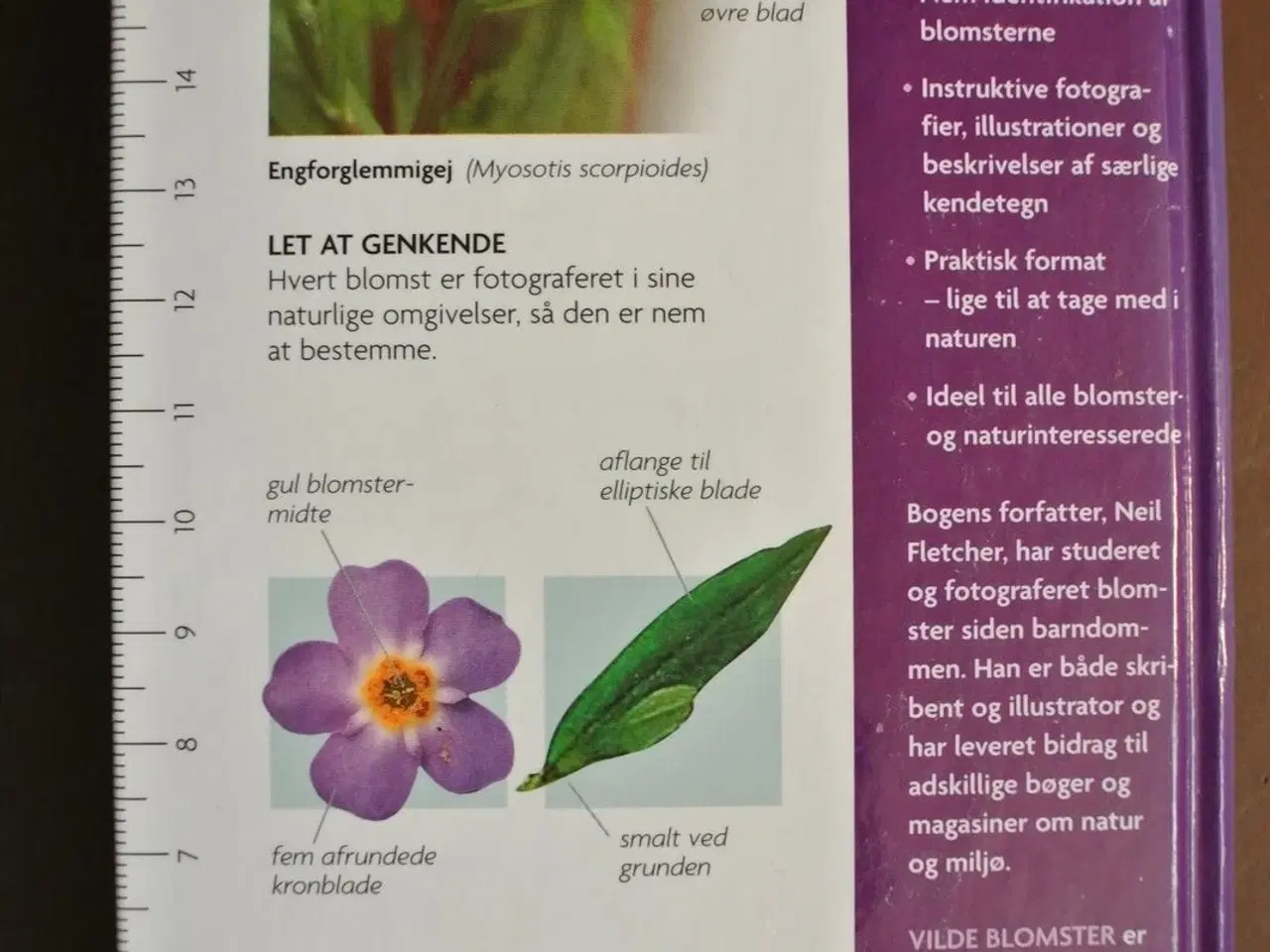 Billede 3 - vilde blomster, af neil fletcher, emne: biologi og