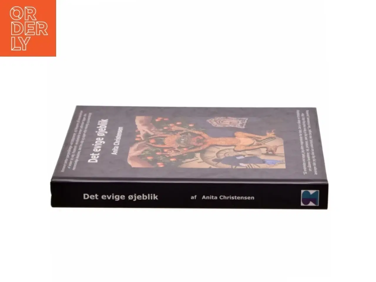 Billede 2 - Det evige øjeblik : roman af Anita Christensen (f. 1947) (Bog)