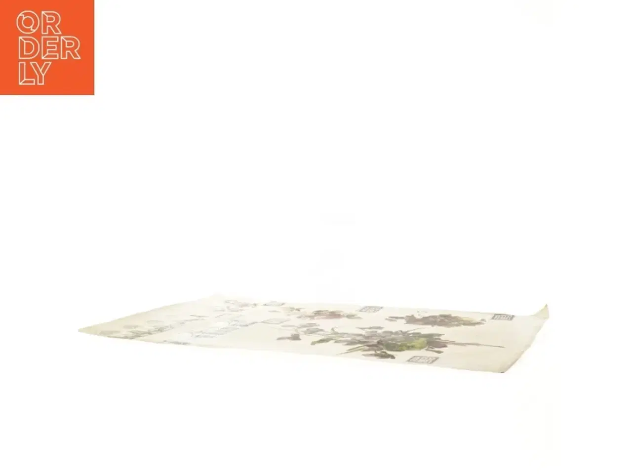 Billede 3 - Botanisk plakat (str. 41 x 28,5 cm)