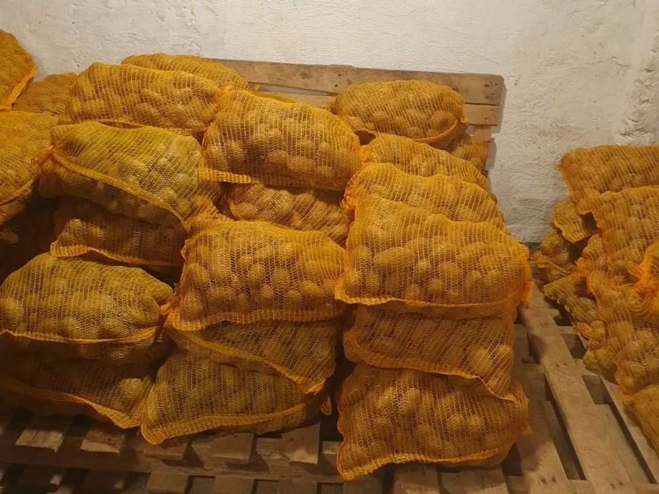 Billede 2 - Rest parti Læg kartofler Maya/Sava