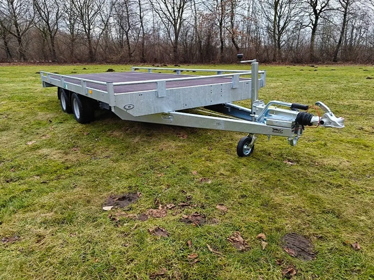 Billede 2 - Eduard trailer 4020-3000 Multi - Reiling