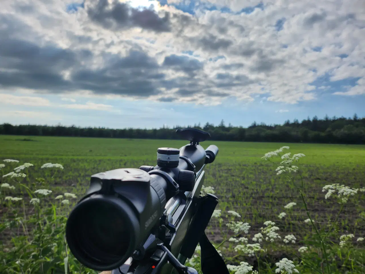 Billede 19 - Sako TRG-S .338LM 