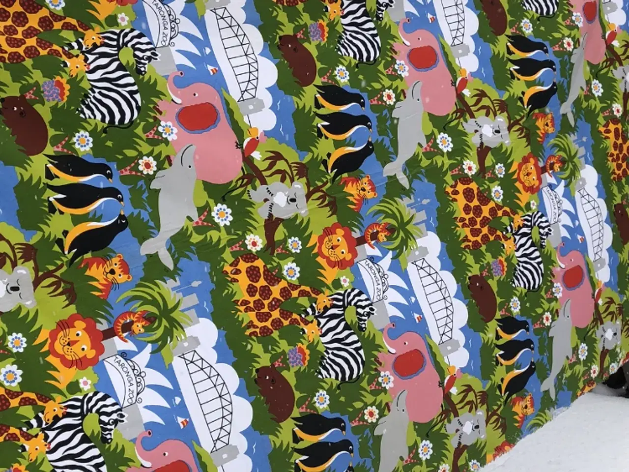 Billede 1 - TARONGA ZOO