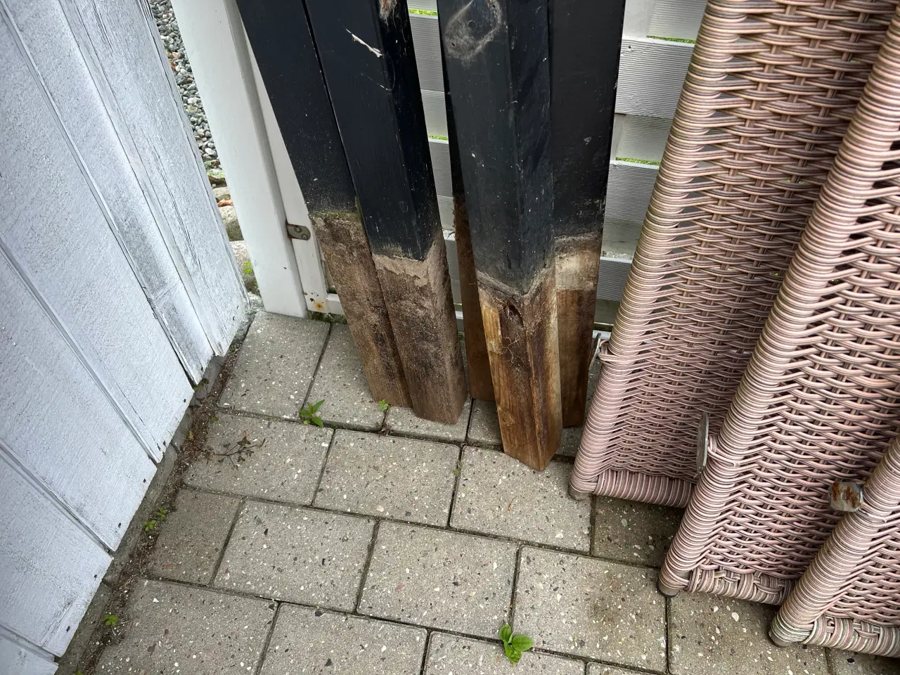 Billede 5 - Plus hegn, polyrattan 