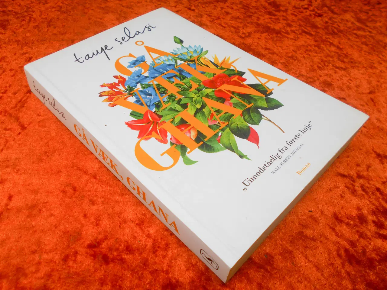 Billede 1 - Gå væk Ghana, Taiye Selasi,