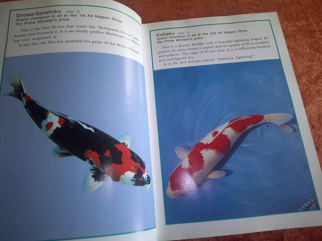 Billede 2 - Manual to Nishikigoi,  Takeo Kuroki,