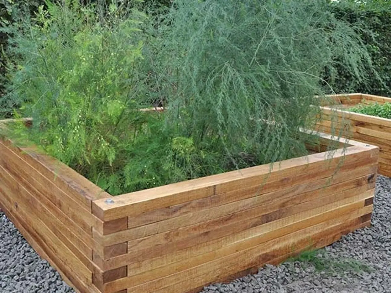 Billede 9 - Højbede, egetræ - byggesæt