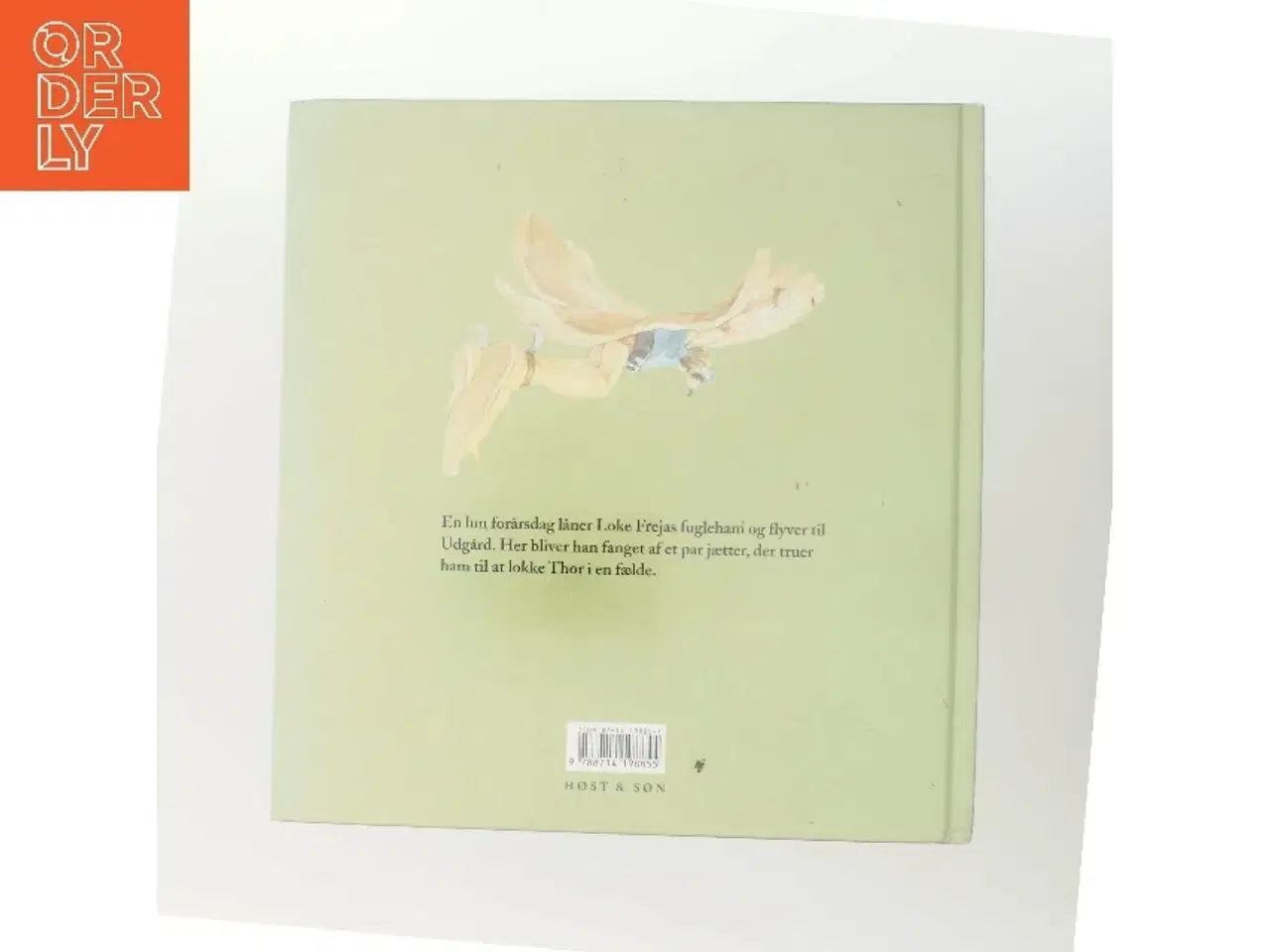 Billede 3 - Lokes skam (Bog)