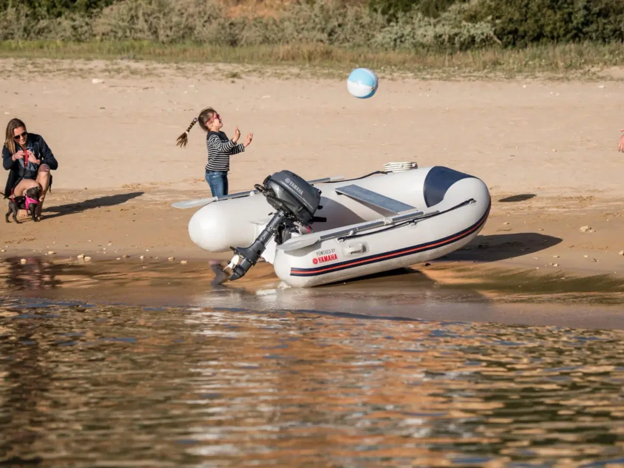 Billede 13 - Yamaha F5AMHS