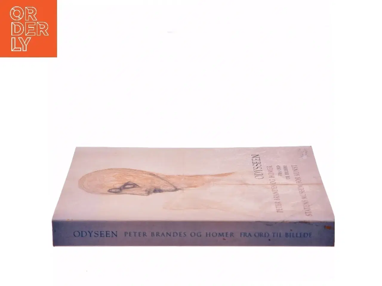 Billede 2 - Odysseen af Peter Brandes (Bog)