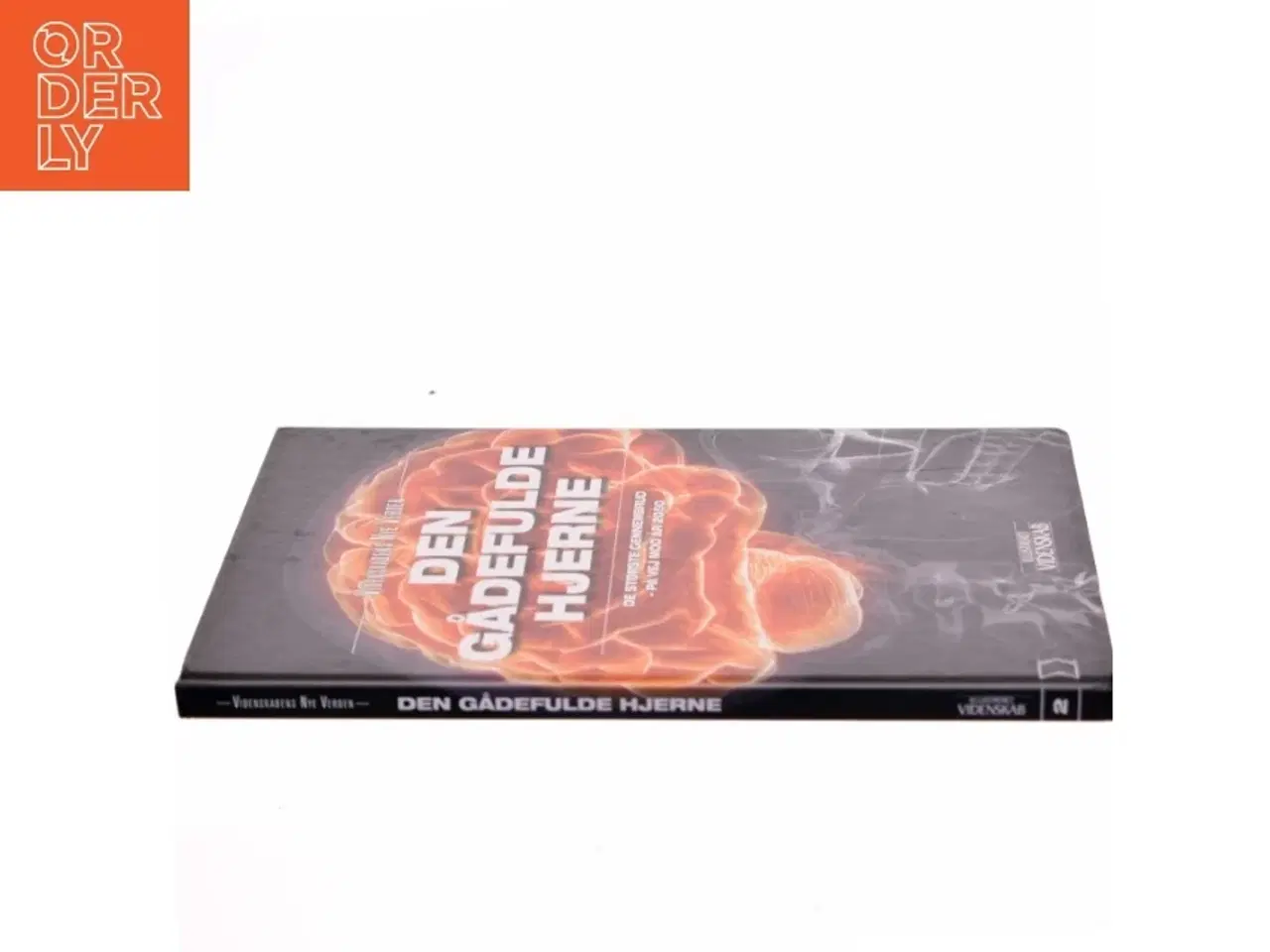 Billede 2 - Den gådefulde hjerne af Jan Aagaard (Bog)