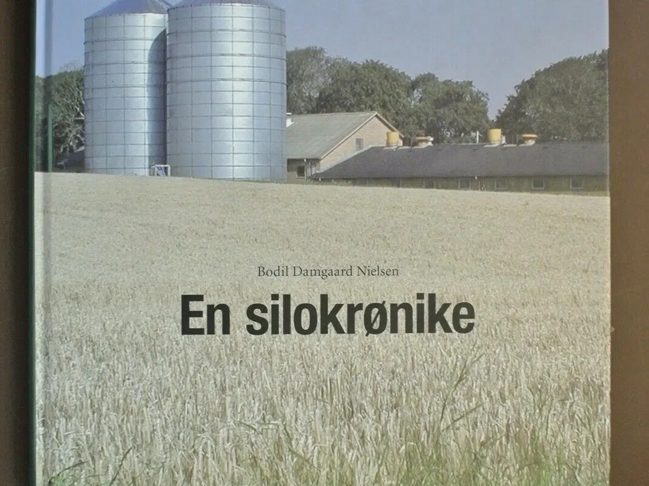 Billede 1 - en silokrønike, af bodil damgaard nielsen, emne: a