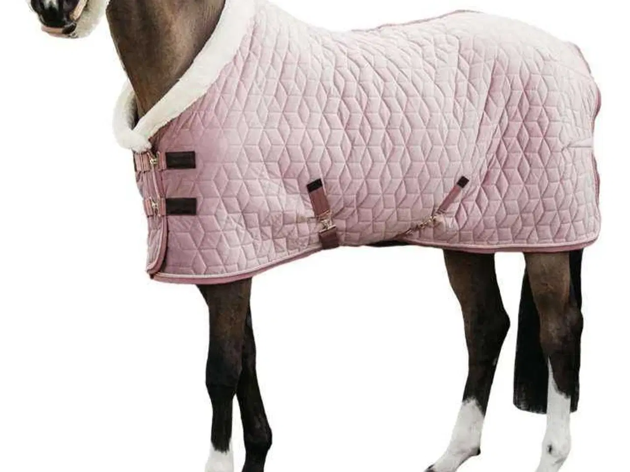 Billede 2 - Kentucky show rug old rose