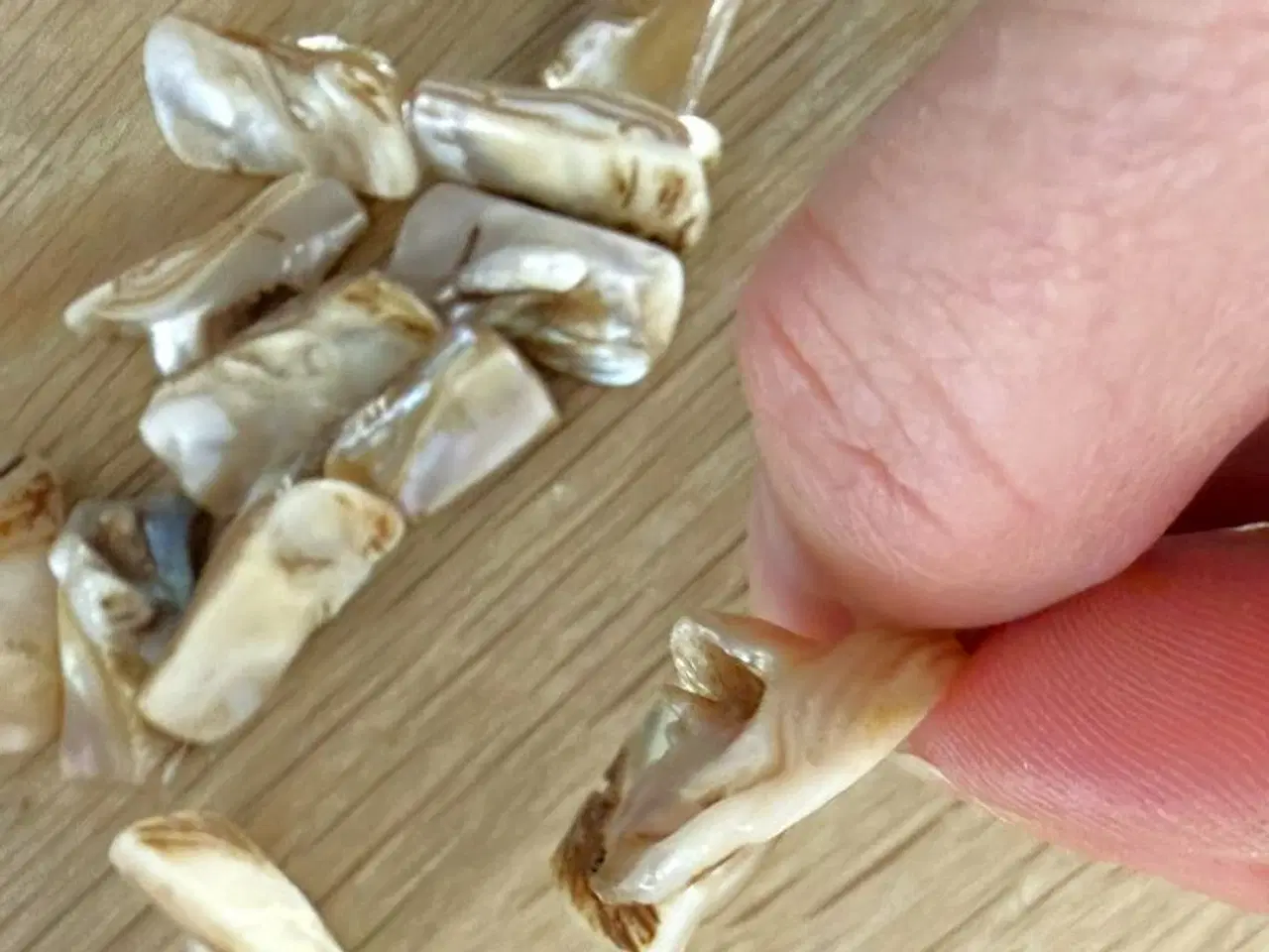 Billede 3 - Firkantede perlemors-perler 