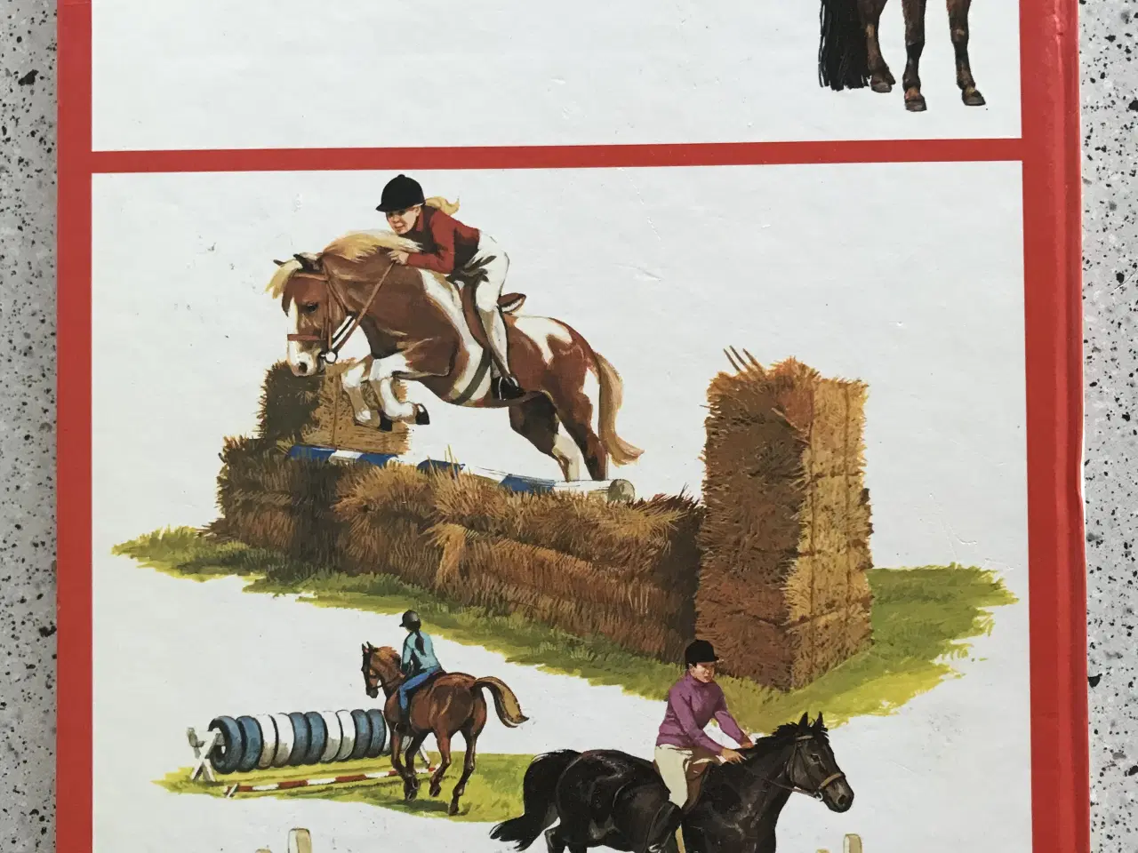 Billede 7 - Ridning og springning