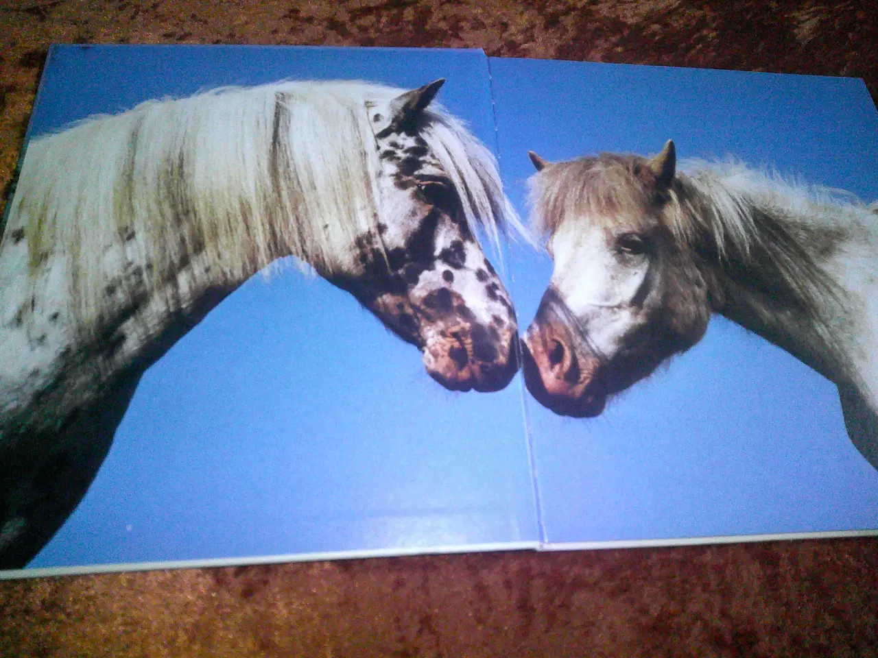 Billede 2 - Knabstrupperen , Bent Branderup