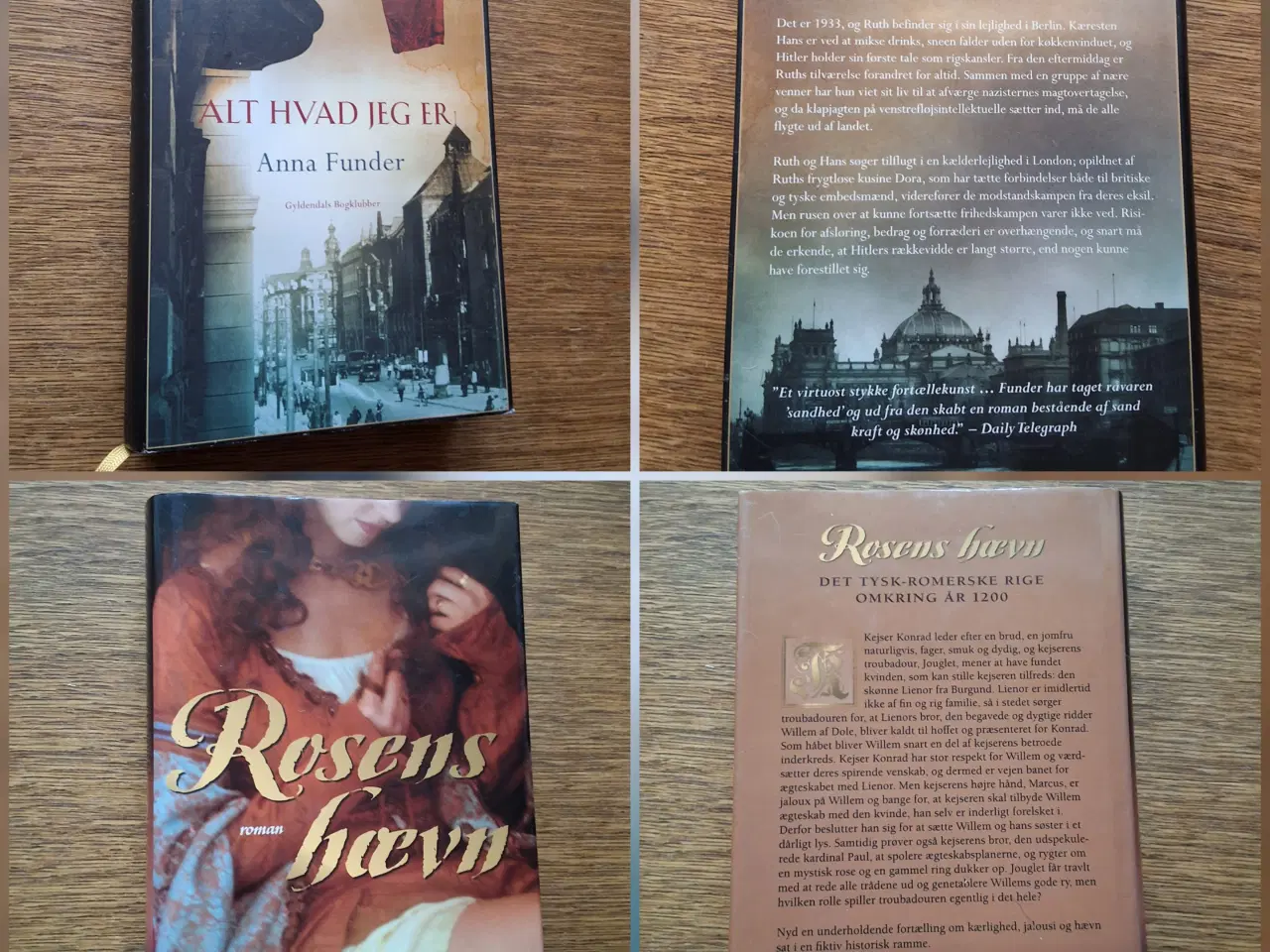 Billede 14 - BogUDsalg  5kr/stk. Samlet køb kan sendes. 