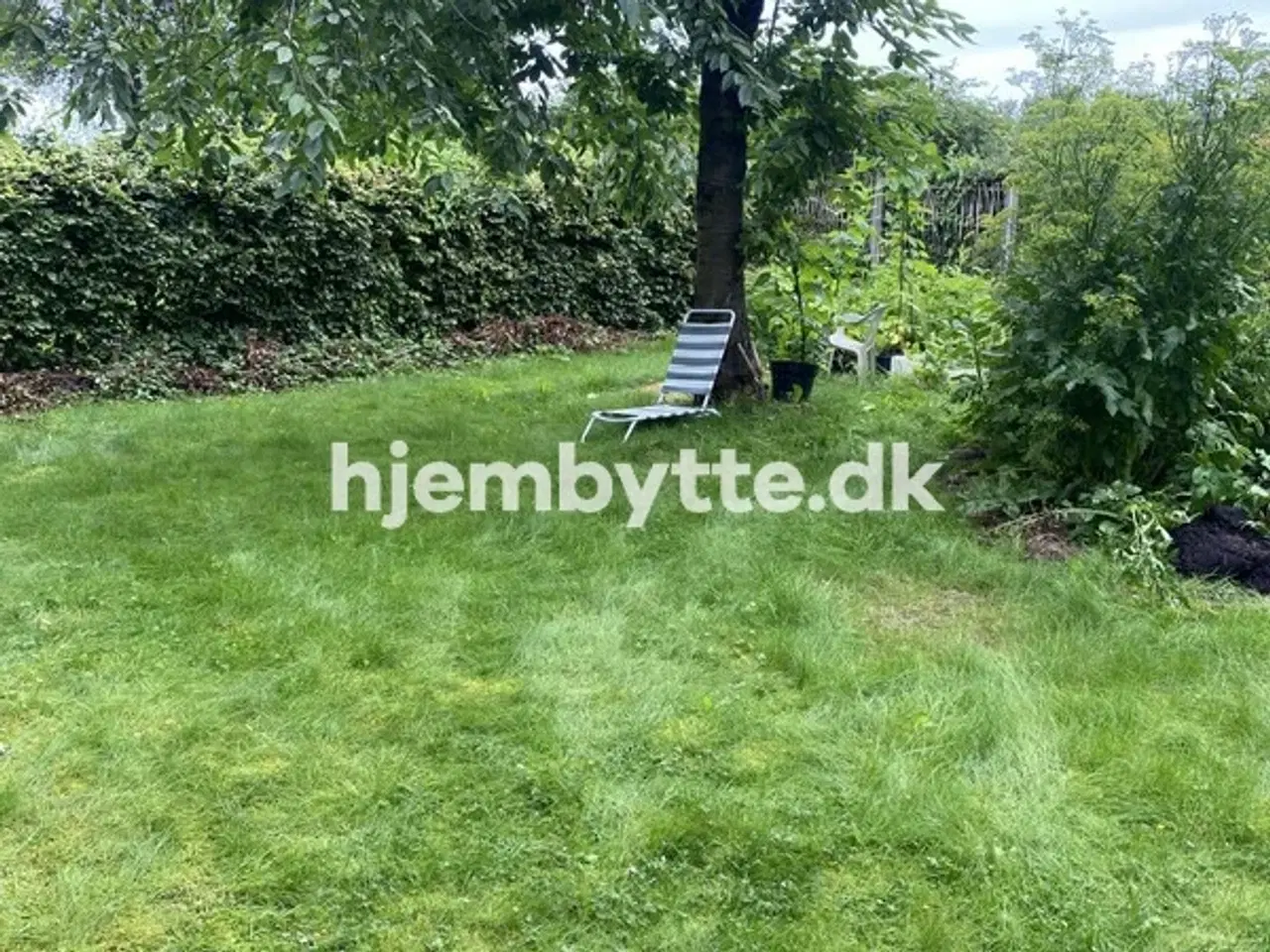 Billede 1 - Hjembytte - Hallingparken