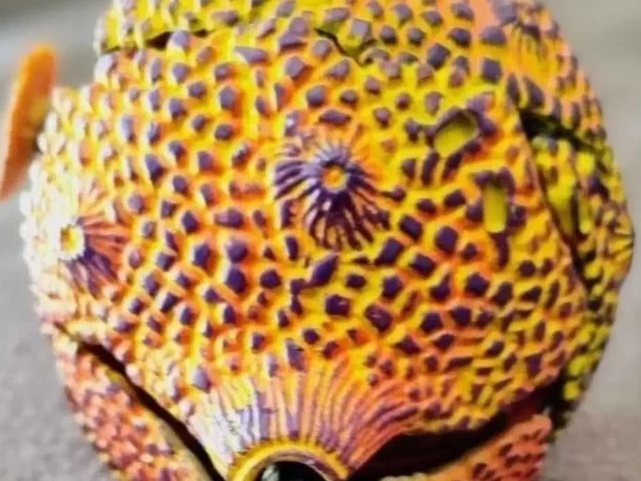 Billede 1 - World Planet Fire Planets Shadow Raider 