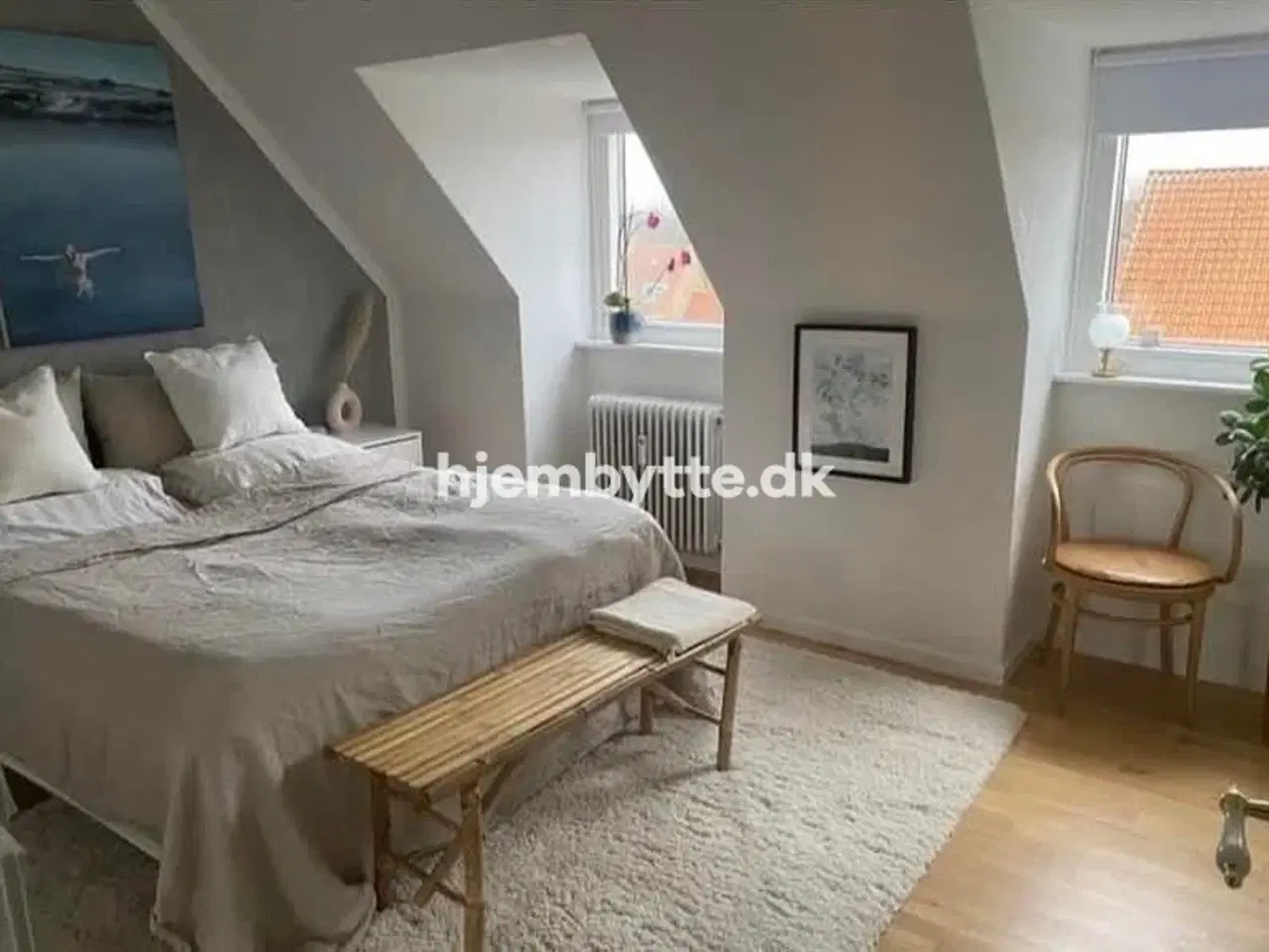 Billede 3 - Hjembytte - Agervang