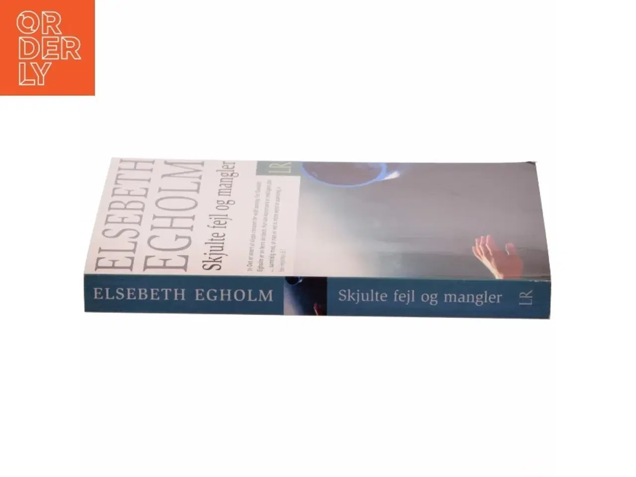 Billede 2 - Skjulte fejl og mangler af Elsebeth Egholm (Bog)