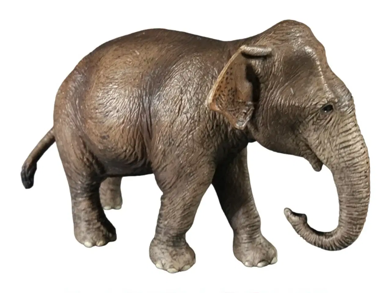 Billede 1 - Schleich 14753 Asian Elephant Female (2017)