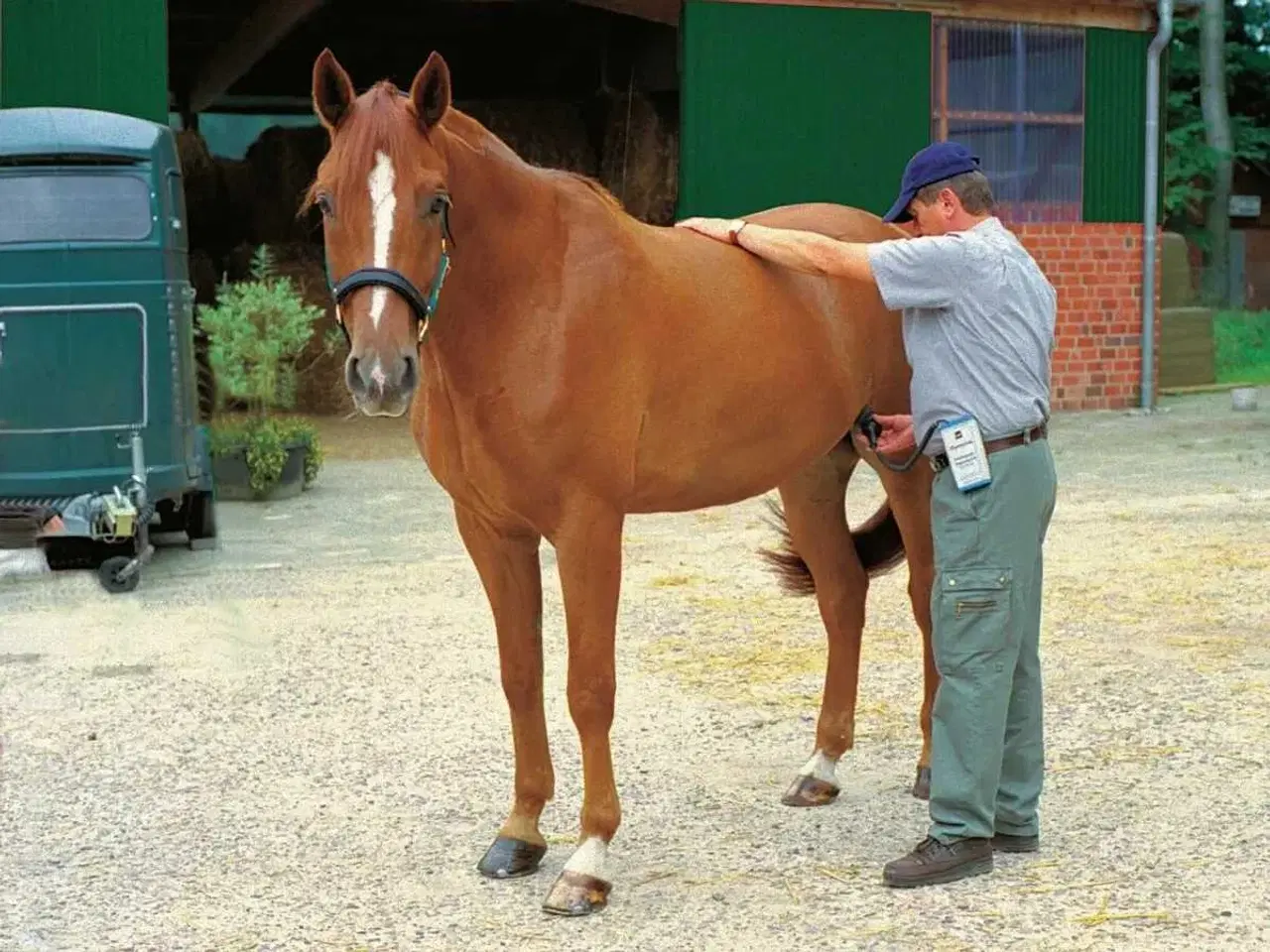 Billede 6 - Drægtighedsscanner