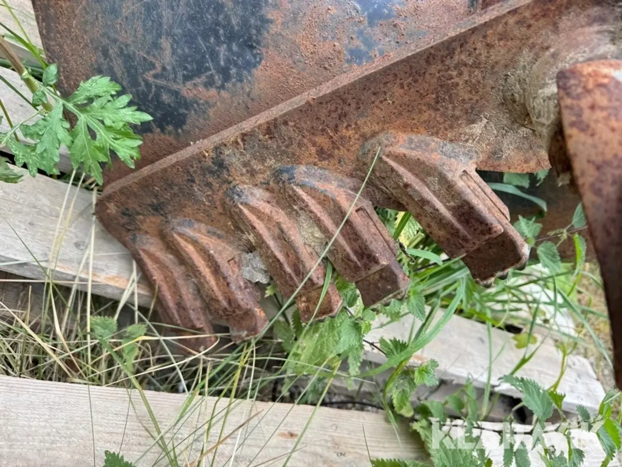 Billede 11 - Jordbor