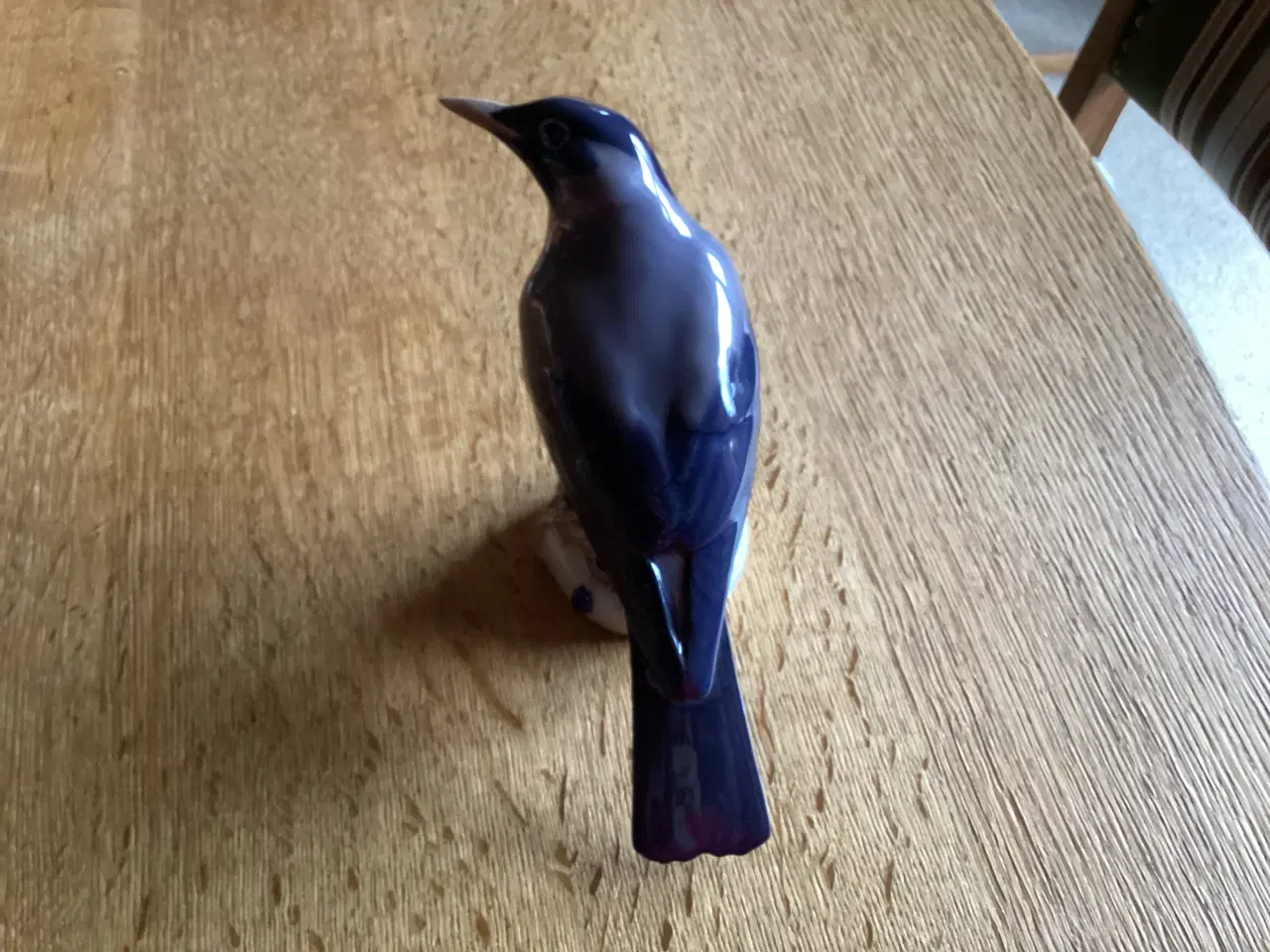 Billede 5 - Kgl Drossel Fugl siddende på blå Bær