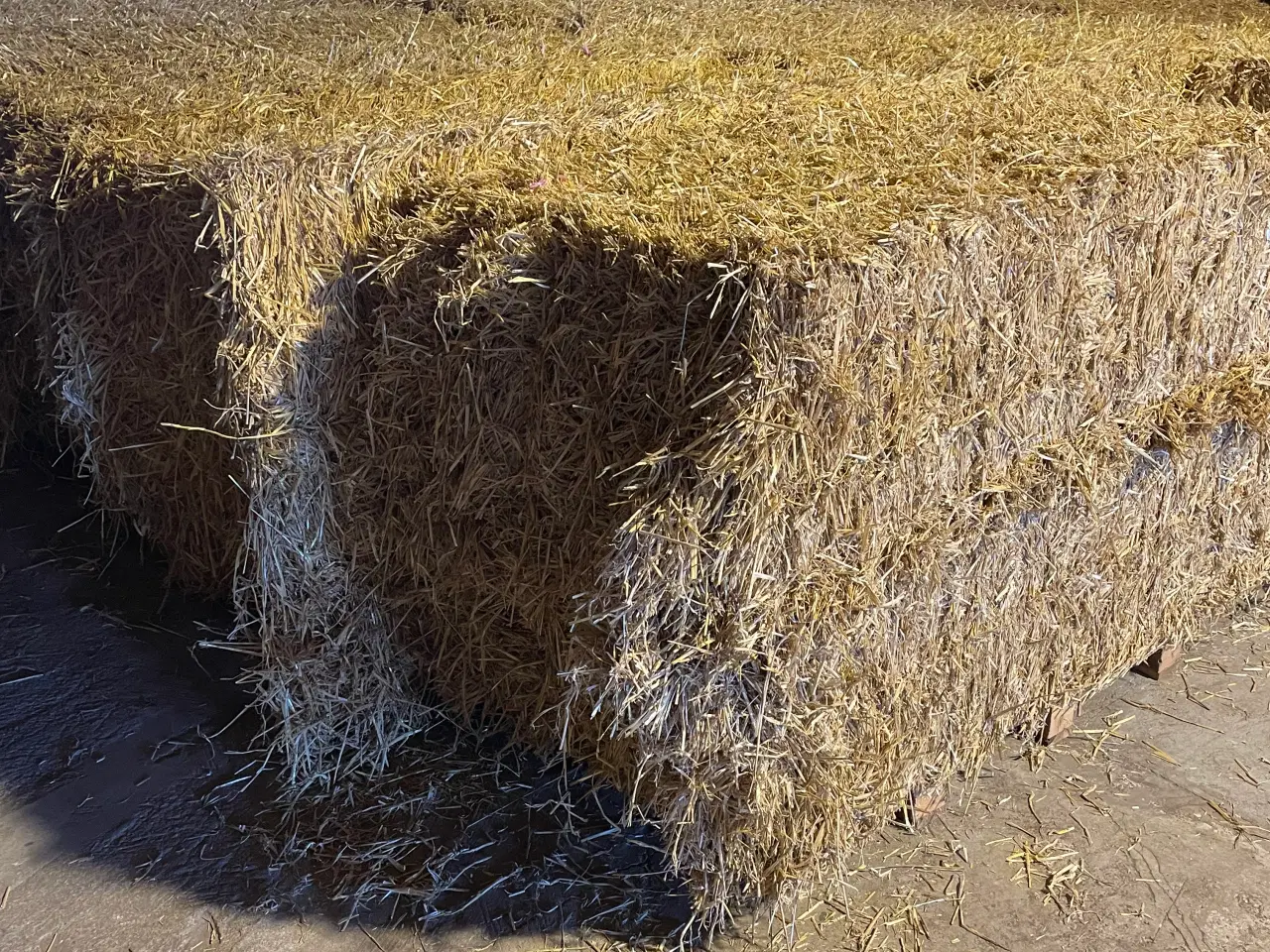 Billede 2 - Vårbyg halm høsten 25