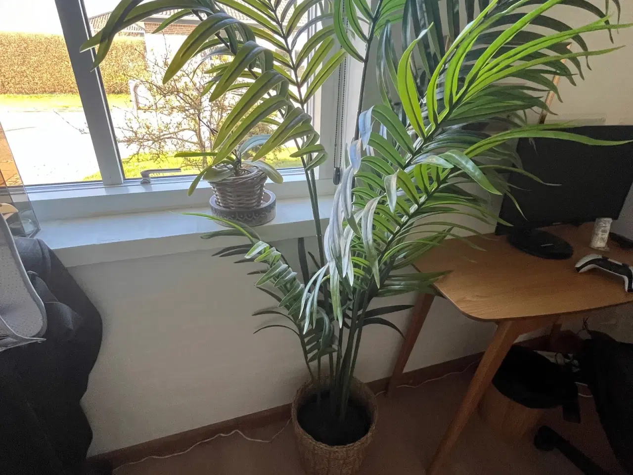 Billede 1 - IKEA "FEJKA" Kunstig palmeplante