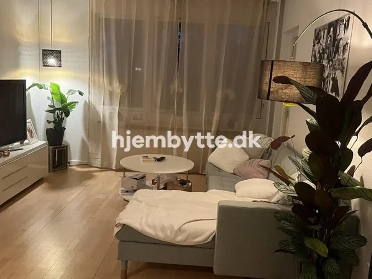 Billede 2 - Hjembytte - ValhøjsAlle