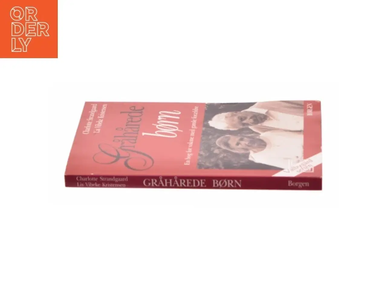 Billede 2 - Gråhårede børn af Charlotte Strandgaard og Lis Vibeke Kristensen