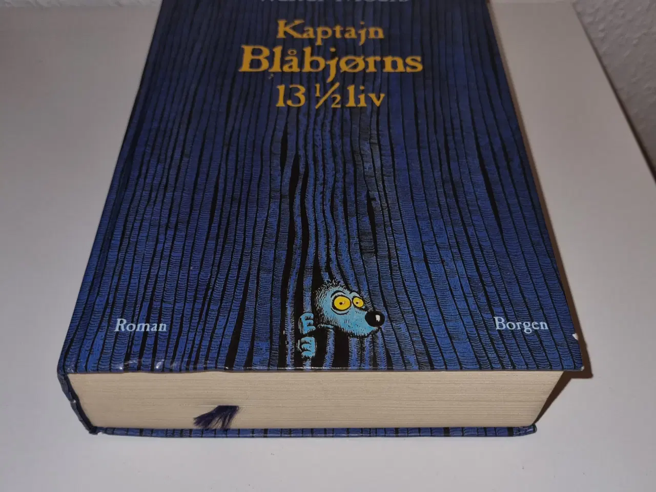 Billede 1 - Walter Moers - Kaptajn Blåbjørns 13 1/2 liv