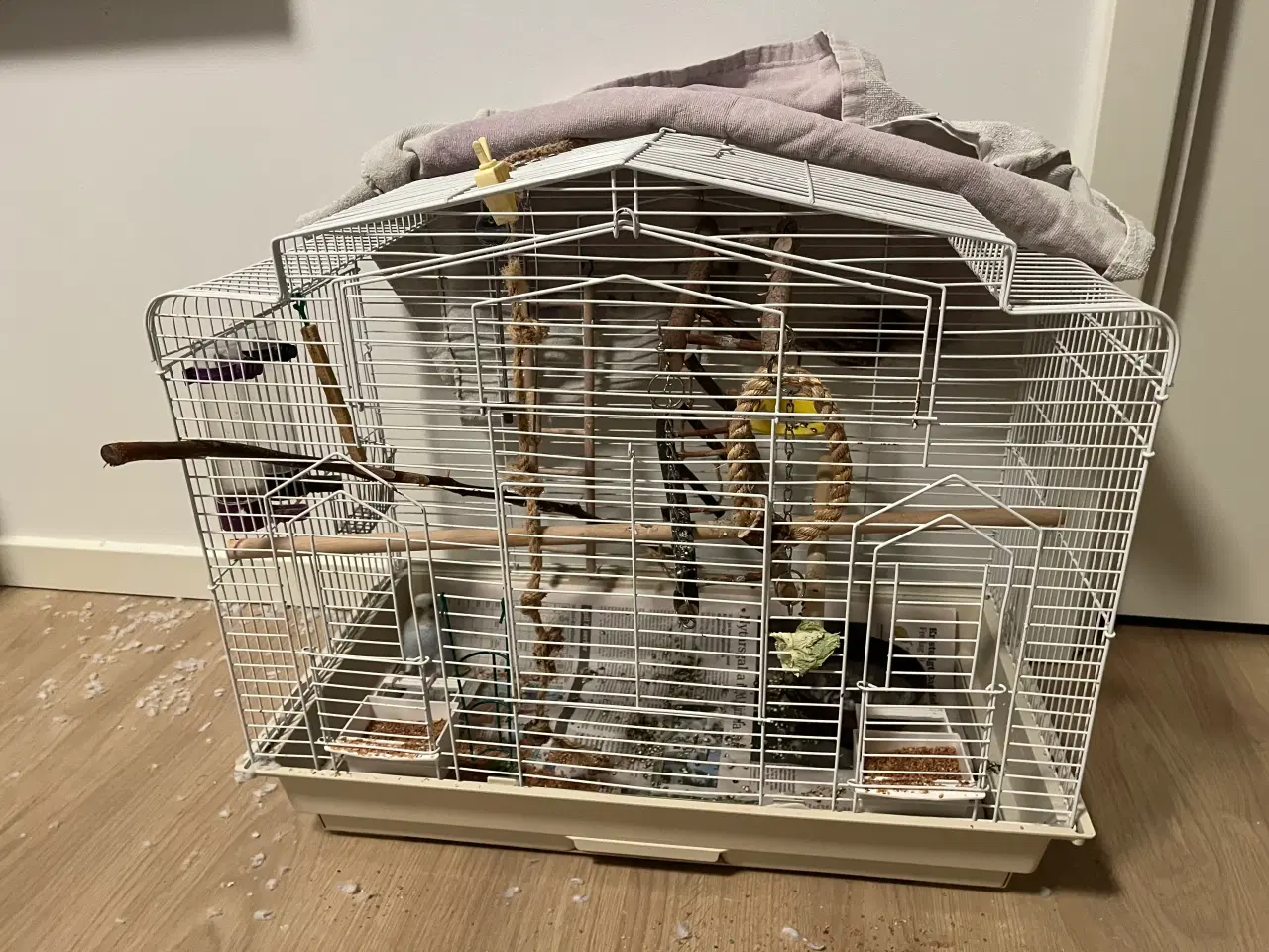 Billede 3 - Sød Undulat søger nyt hjem