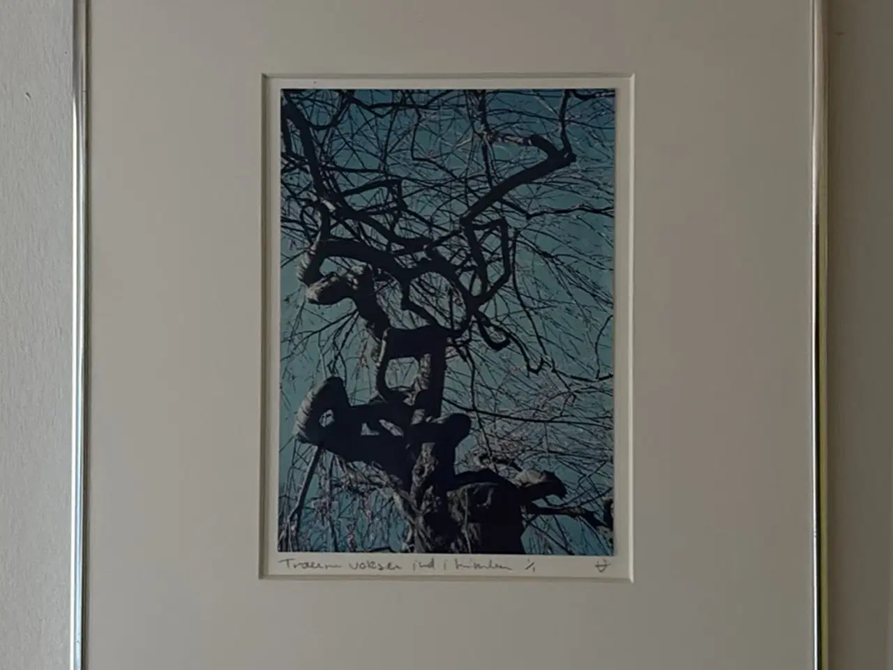 Billede 2 - Billeder 