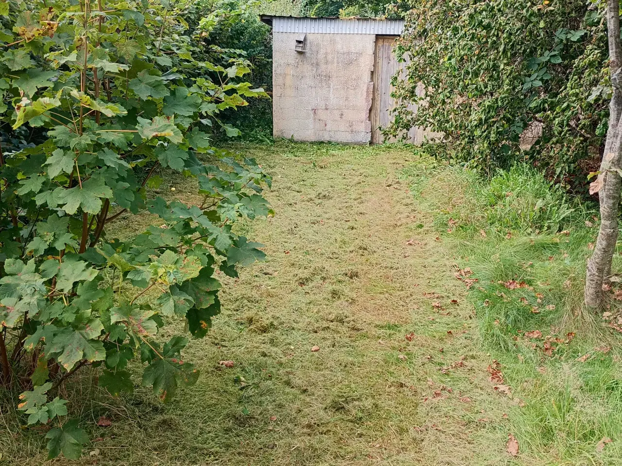 Billede 13 - Hus med mange muligheder 6621 Gesten