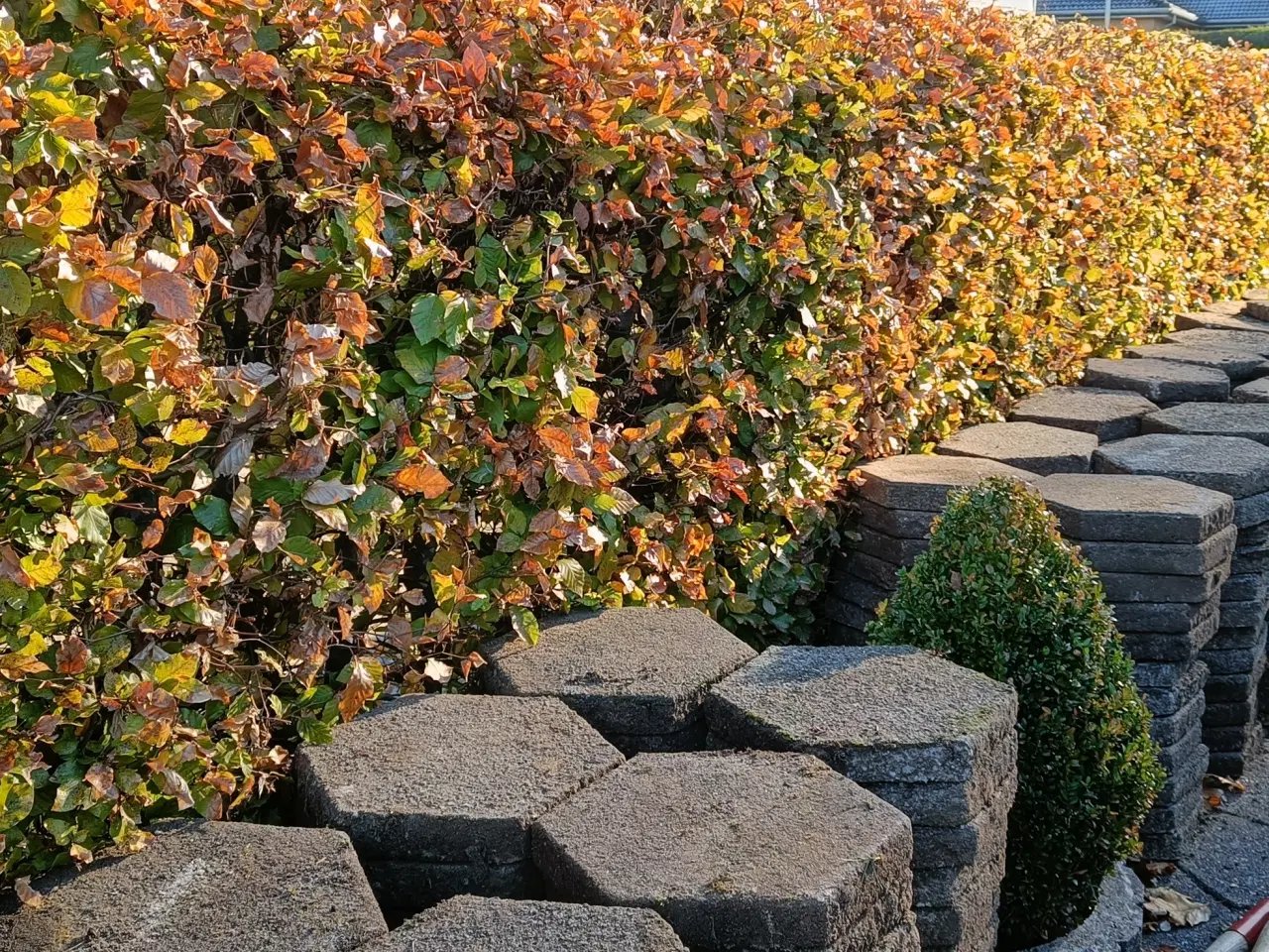 Billede 3 - Fliser Bellahøj 6 kantet