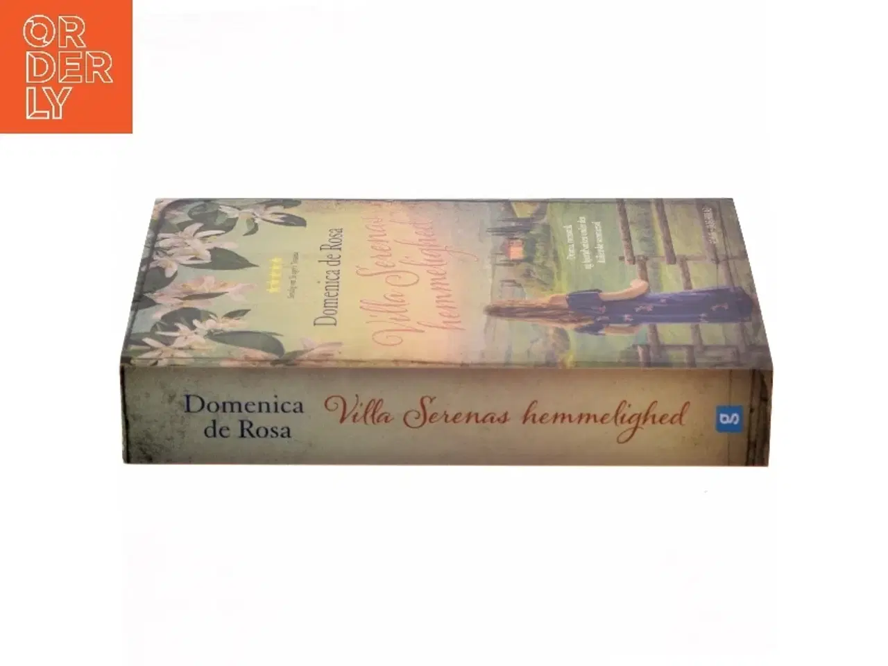 Billede 2 - Villa Serenas hemmelighed : roman af Domenica De Rosa (f. 1963) (Bog)