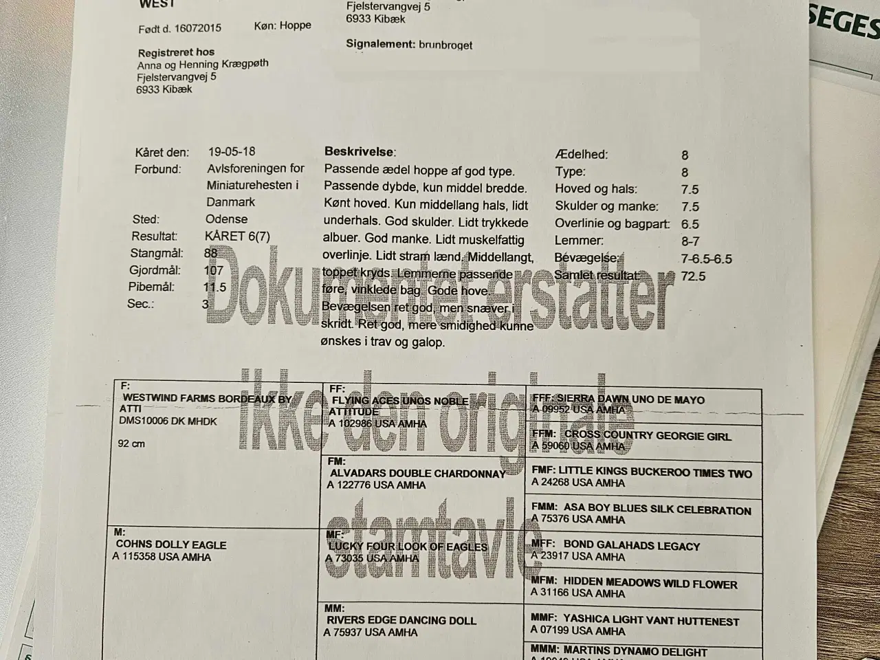 Billede 9 - Kåret AMHA Hoppe 