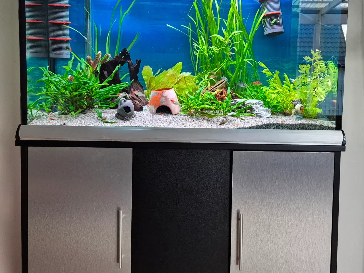 Billede 1 - Akvarium 240L med skab og tilbehør