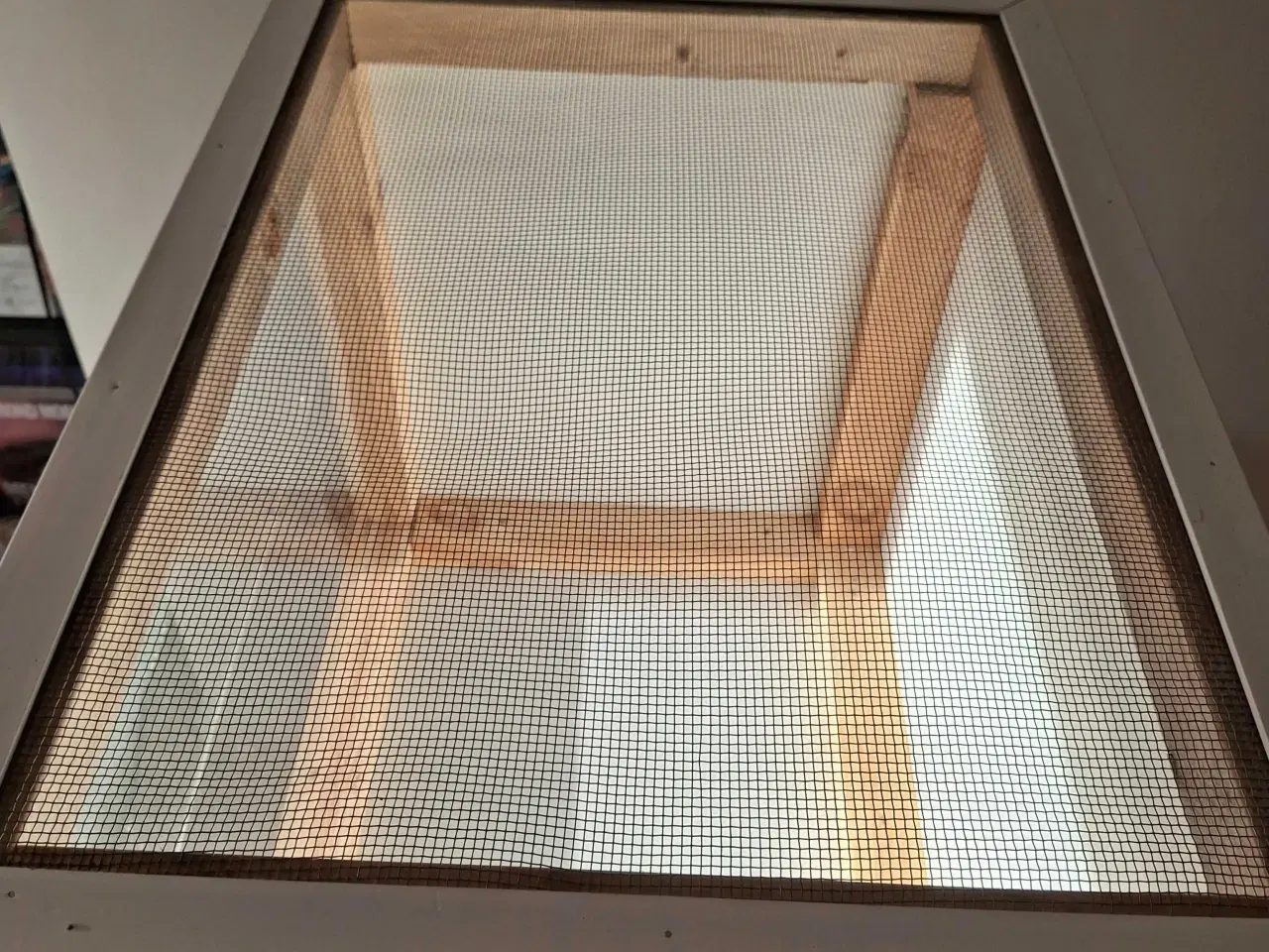 Billede 4 - Hamsterbur med tilbehør