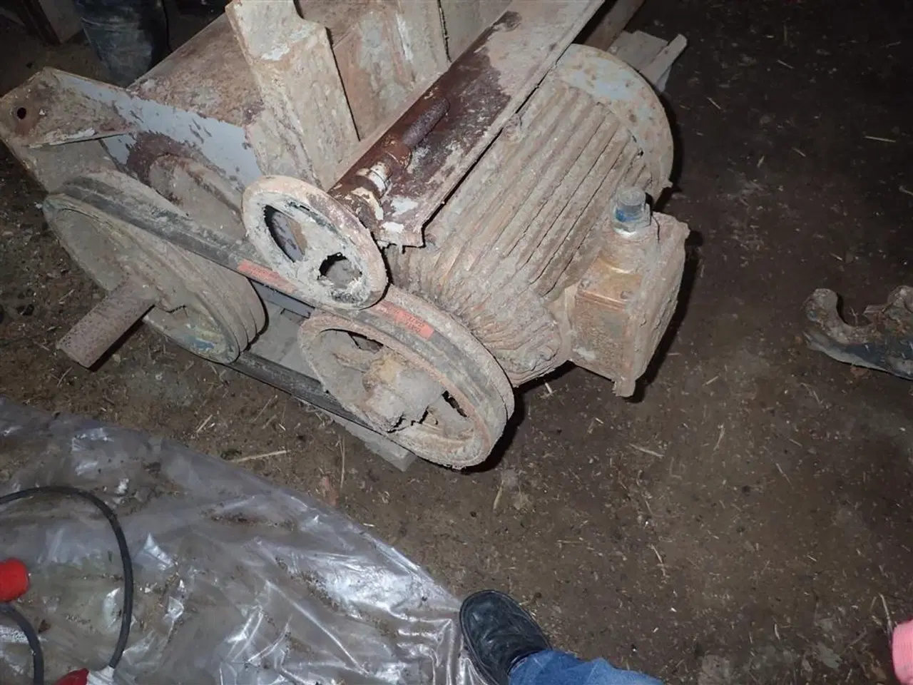 Billede 2 - - - - Kørner