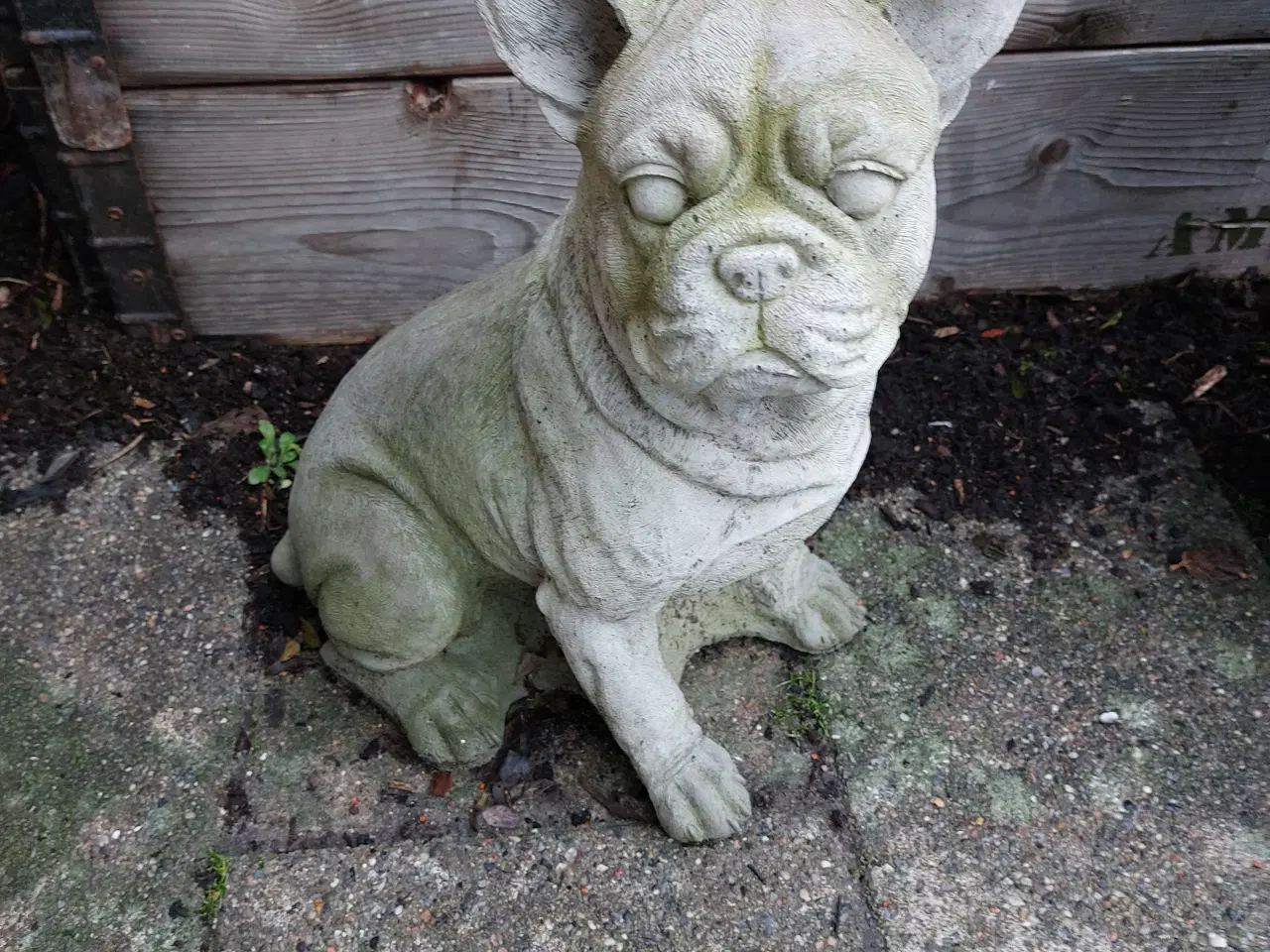 Billede 2 - Beton figur af Fransk bulldog 