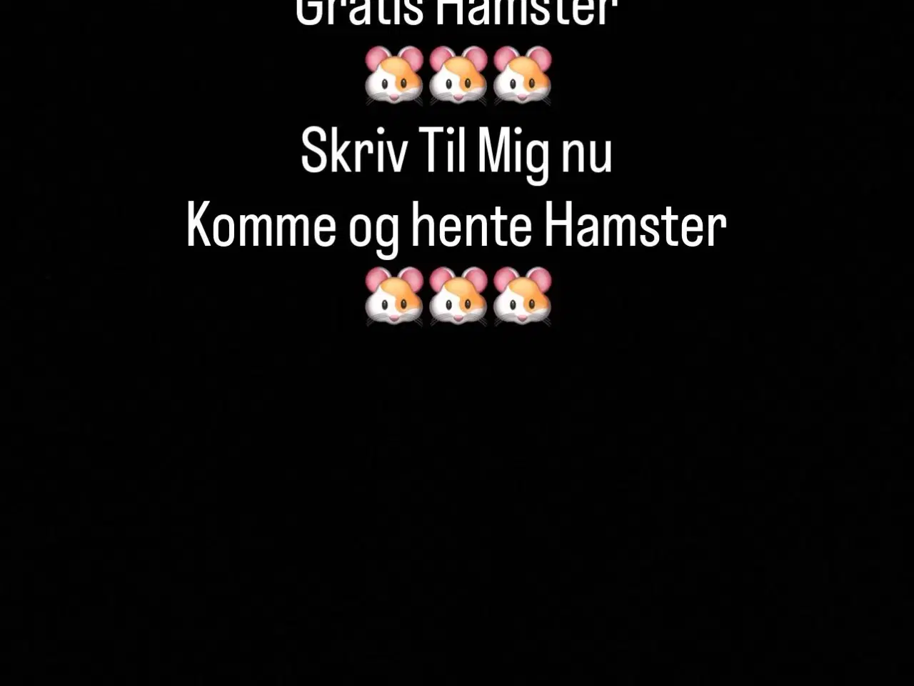 Billede 1 - Gratis hamster 🐹 