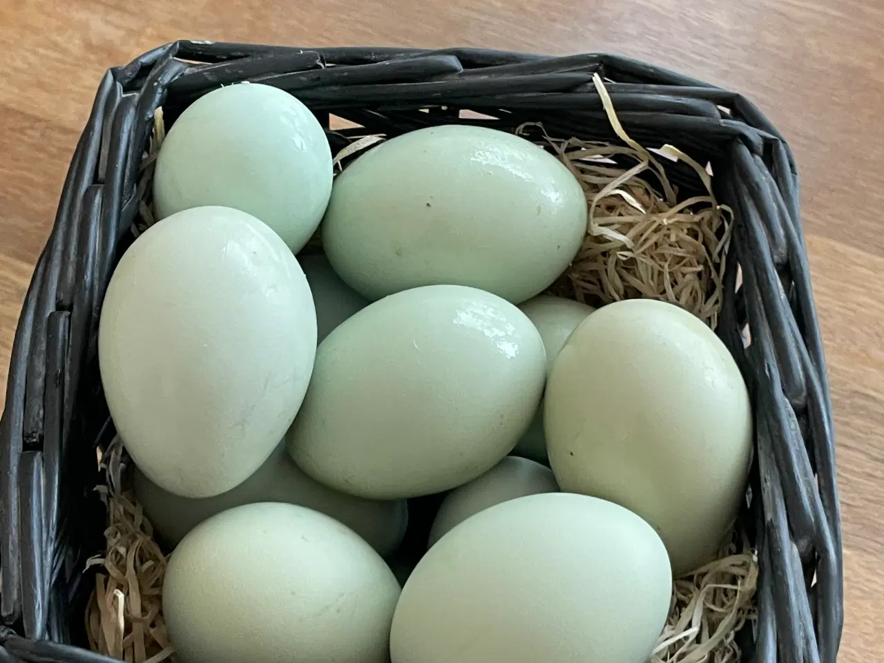 Billede 2 - Engelsk Araucana rugeæg