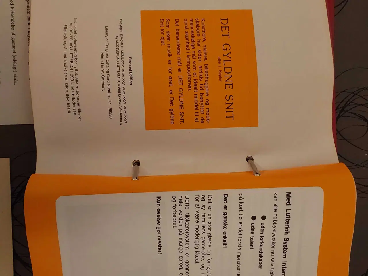 Billede 5 - Det gyldne snit, Maria Aloisia Lutterloh